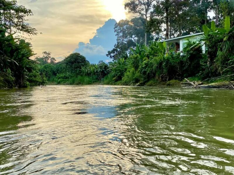 Tanah Pertanian Dekat De Moccis Lake Resort Sungai Sungkai Changkat Jong Teluk Intan Perak - 4
