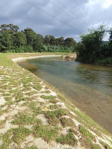 Tanah Pertanian Dekat De Moccis Lake Resort Sungai Sungkai Changkat Jong Teluk Intan Perak - 3