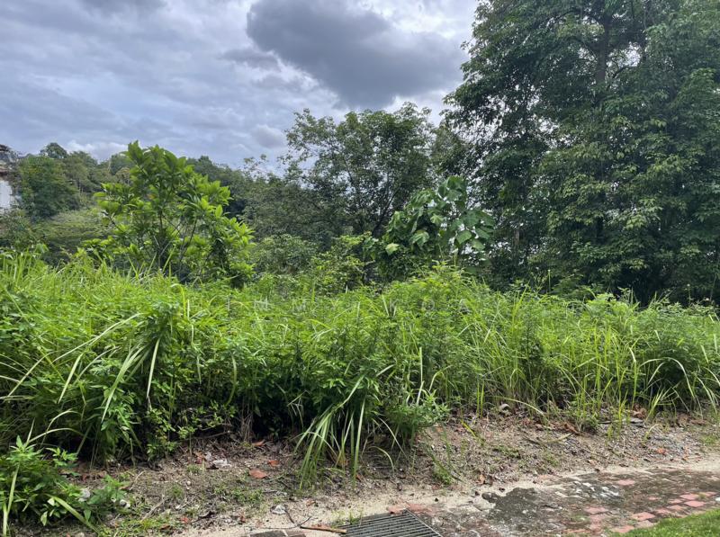 Country Heights Damansara - 4