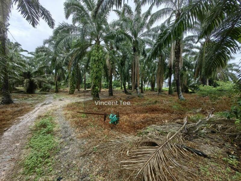 15 Acres Zone Residential Main Road Olak Lempit Banting Dengkil - 5