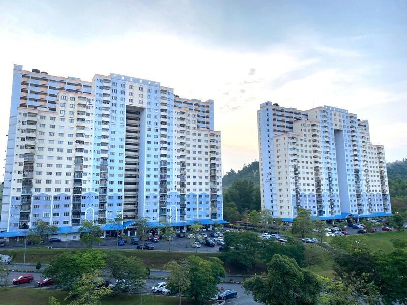 Desaminium Rimba - 2