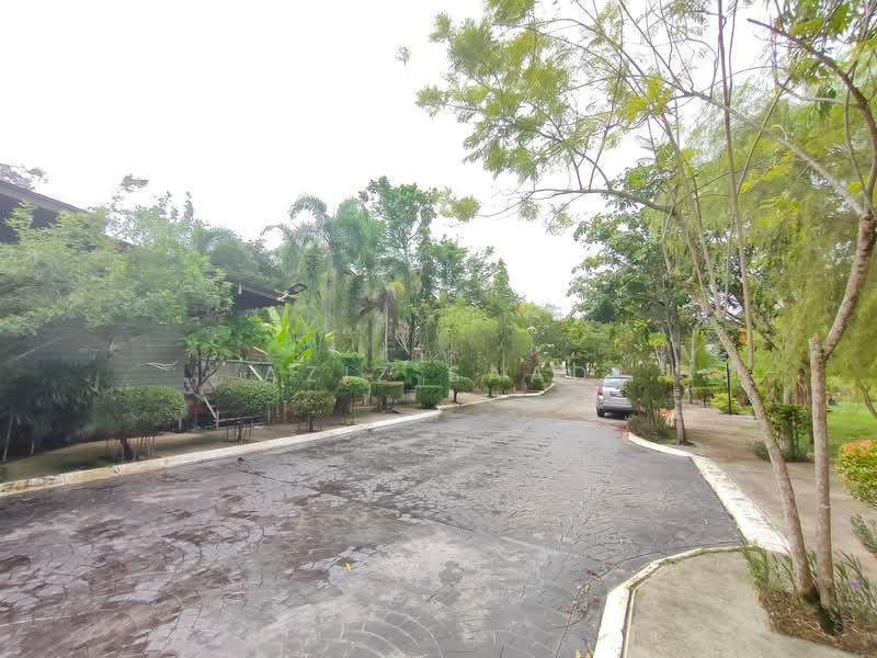 Kuang - 3