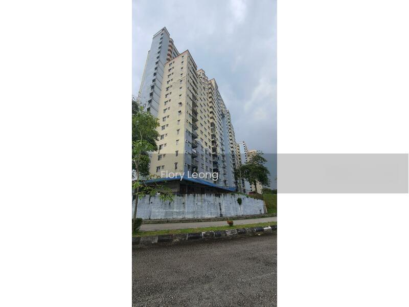 Desaminium Rimba - 3