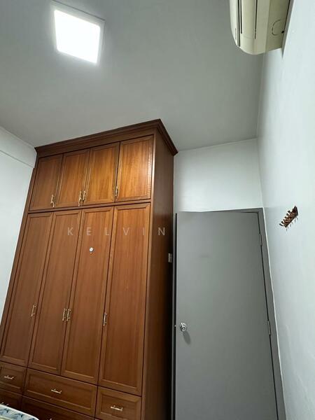 Kingfisher Series - 3