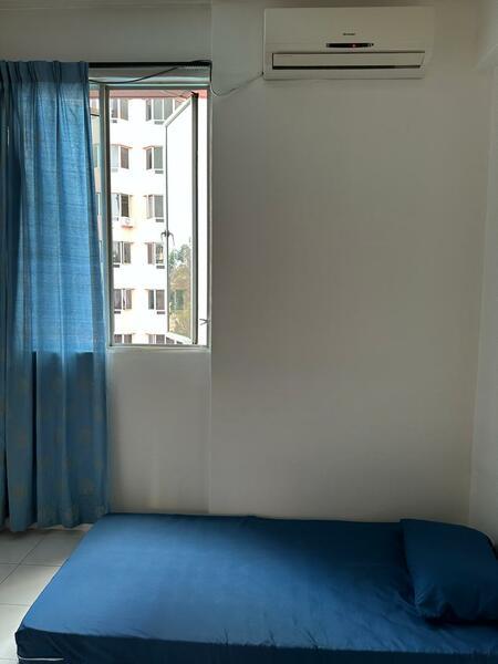 Kingfisher Series - 2