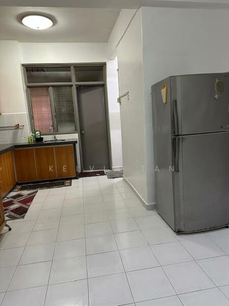 Kingfisher Series - 3