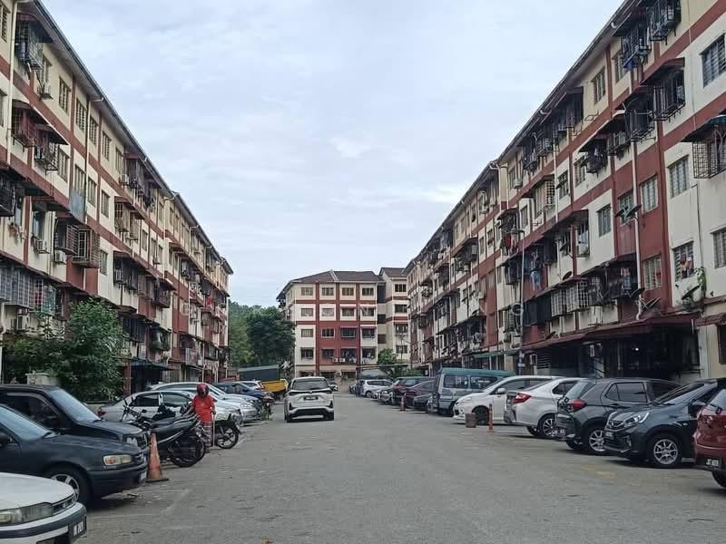 Seri Pulai - 5