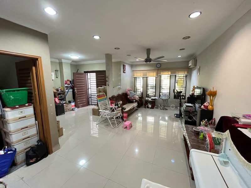 Molek Molek Moleks - 1