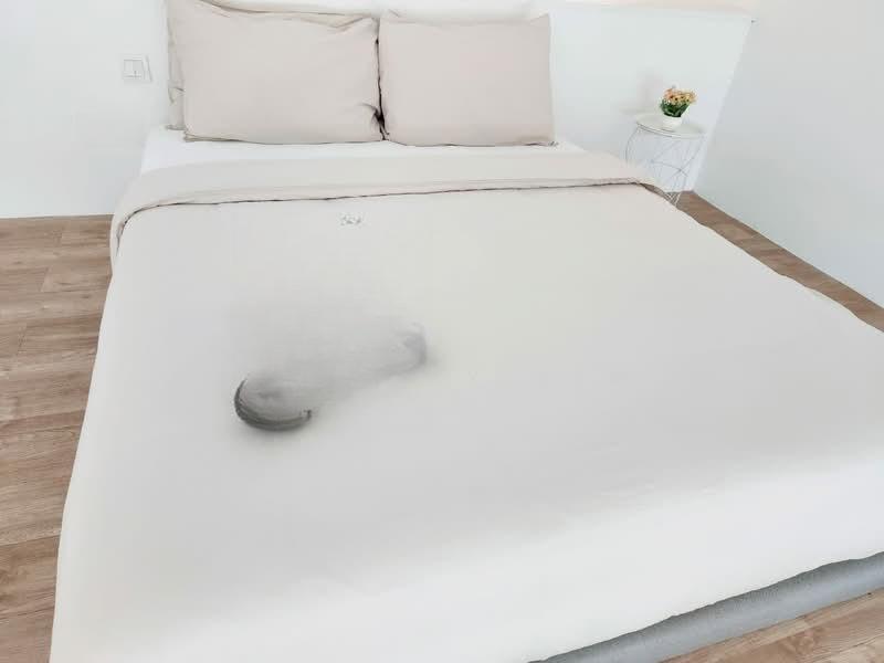 The Establishment - 2