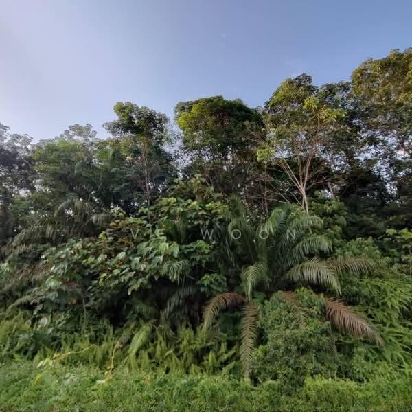 Ulu Choh industrial land for sale - 2