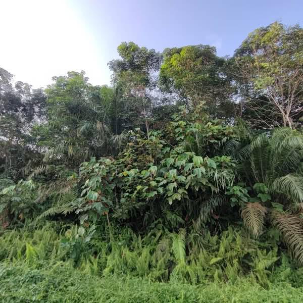 Ulu Choh industrial land for sale - 1