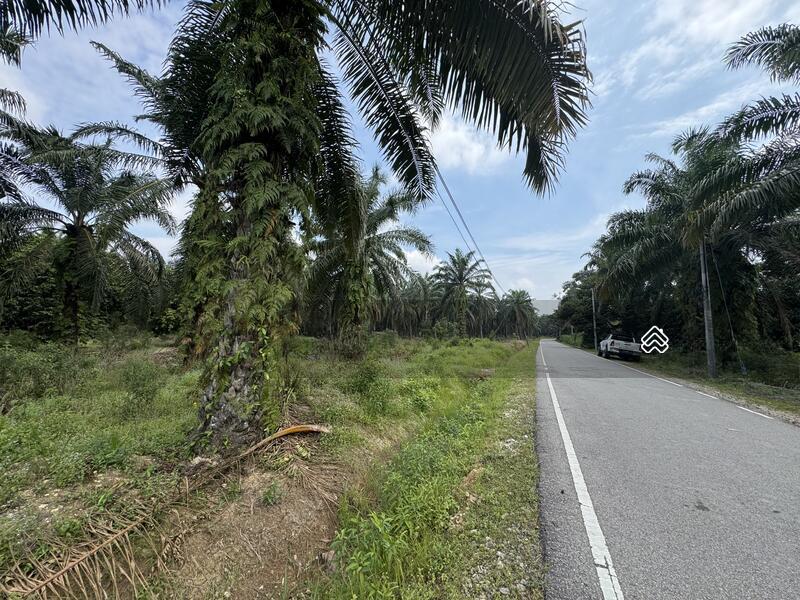 Panchor Muar Johor Agricultural Land For Sale. - 2