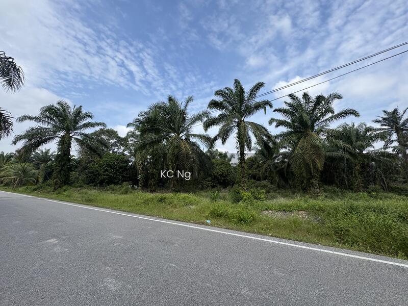 Panchor Muar Johor Agricultural Land For Sale. - 1