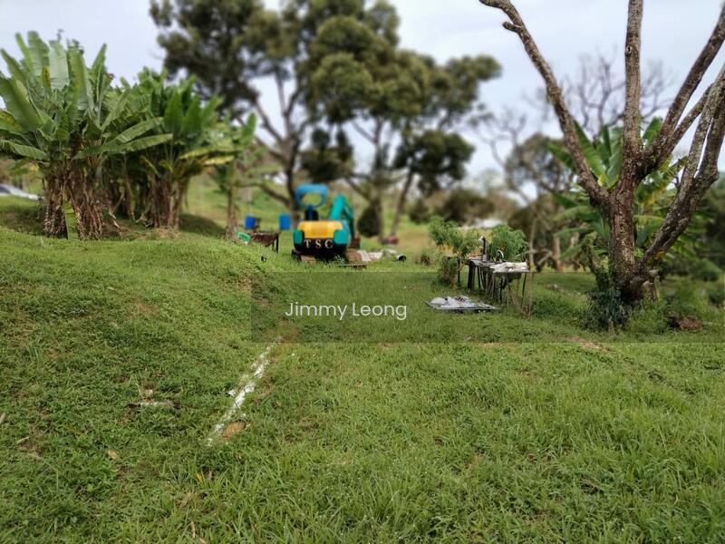 Planters' Haven : Planters' Haven - 5