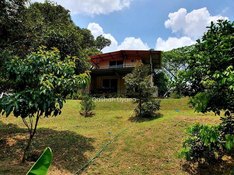 Planters' Haven : Planters' Haven - 5