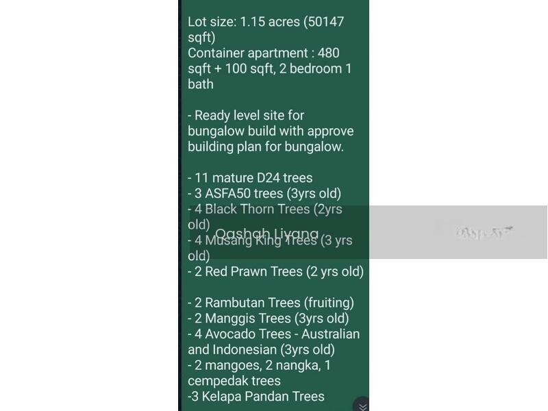 Planters' Haven : Planters' Haven - 4