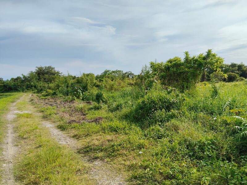 Balik Pulau 36,684sf First Grade land - 4