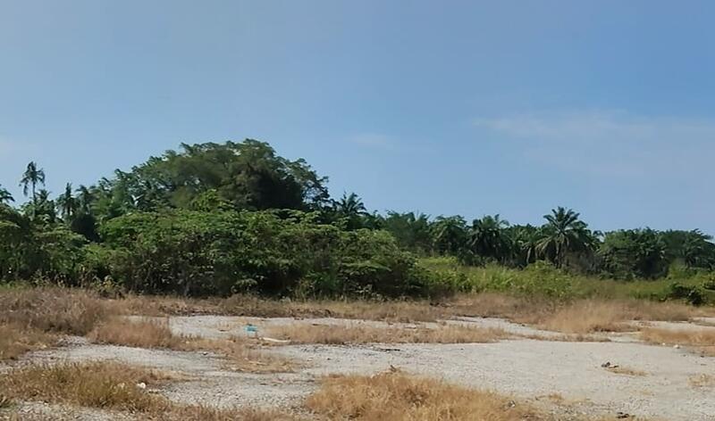 Balik Pulau 36,684sf First Grade land - 1