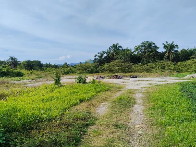 Balik Pulau 36,684sf First Grade land - 3