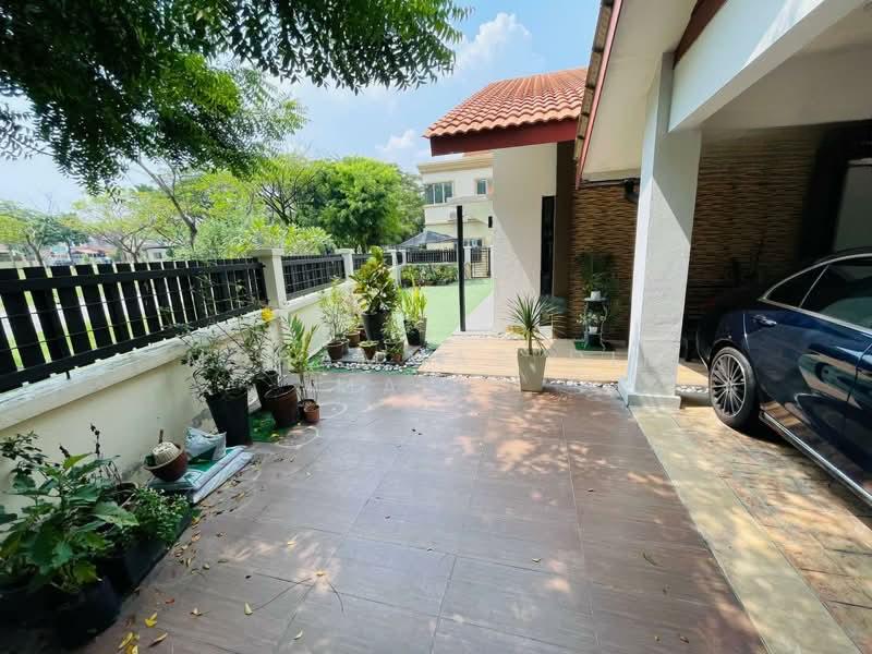 Alstonia - 3