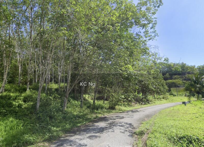 Gerik Perak First Lot Agricultural Land For Sale. - 5