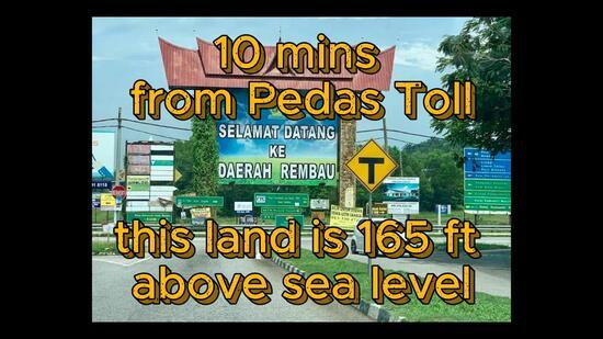 Sandalwood Farm, 1 ac, Kampung Kundur Hilir, 71400 Pedas, Negeri Sembilan - 4