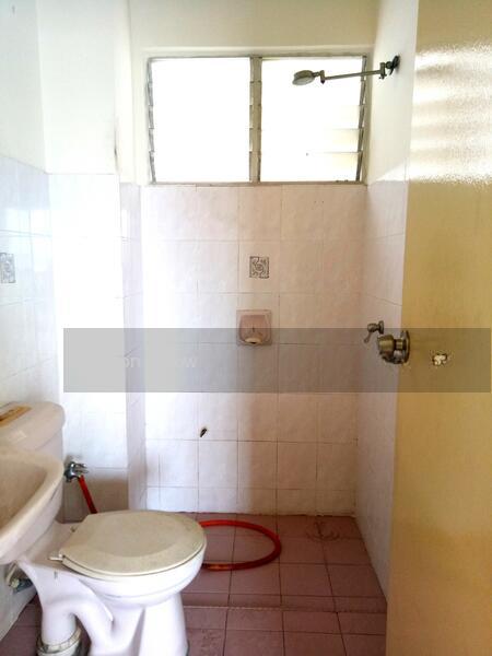 Sri Cassia Sri Cassia Sri Cassia Sri Cassia Sri Cassia Sri Cassia Sri Cassia Sri Cassia Sri Cassia - 4