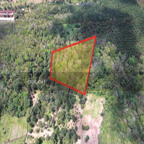 Batang Kali, Ulu Selangor - 3