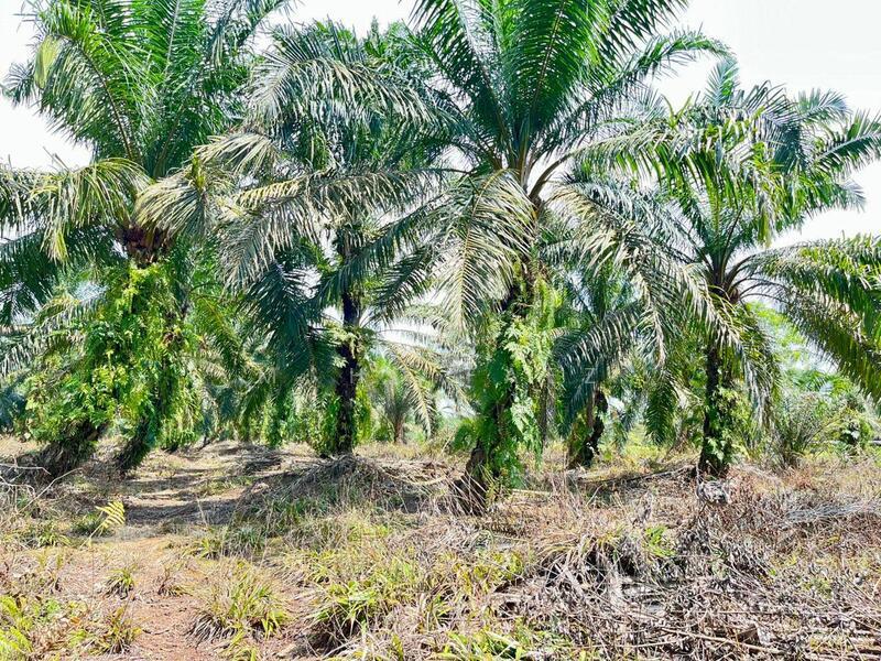 Kampung Air Baloi - 1