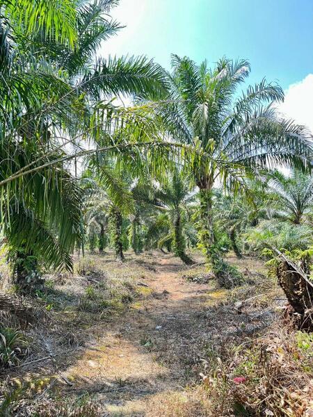 Kampung Air Baloi - 3