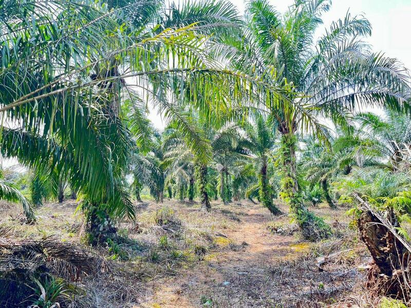 Kampung Air Baloi - 4