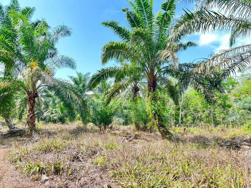 Kampung Air Baloi - 5