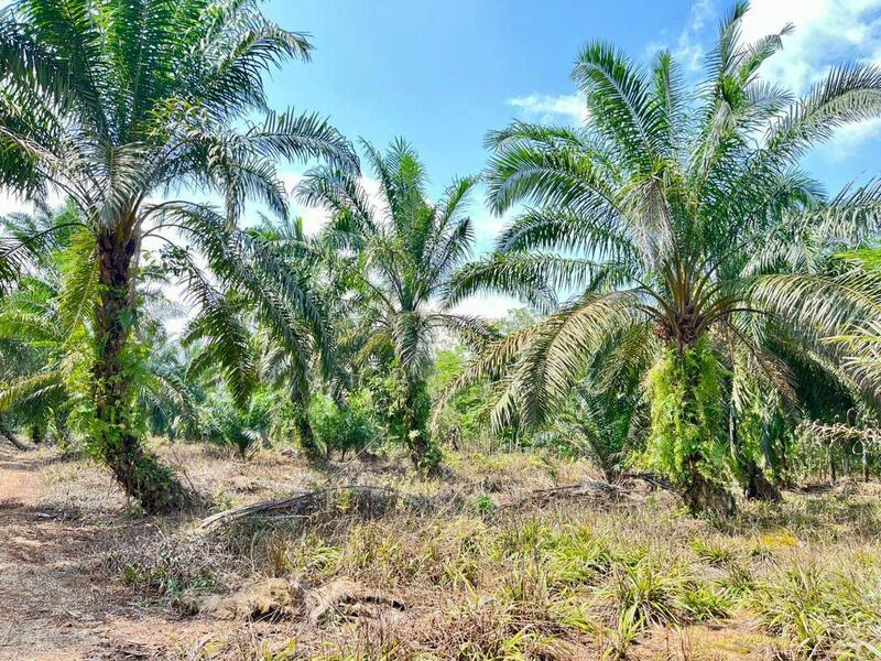 Kampung Air Baloi - 2