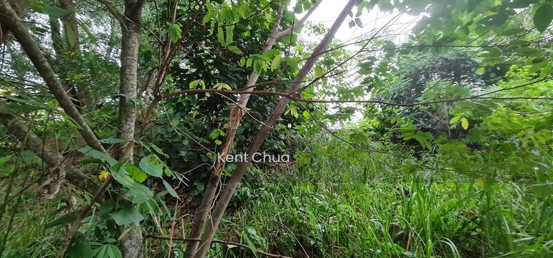 Kampung Jaya Industry Area, Kawasan Industri Kampung Jaya, Sungai Buloh - 3