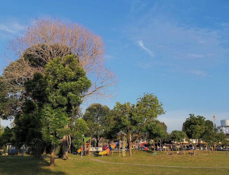 Bukit Rimau - 2