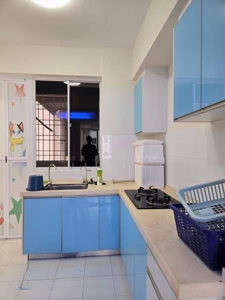 Kingfisher Series - 2