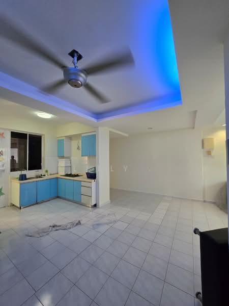 Kingfisher Series - 1