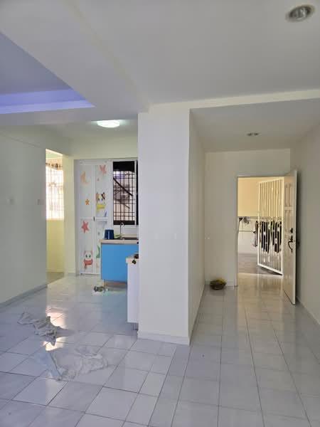 Kingfisher Series - 4