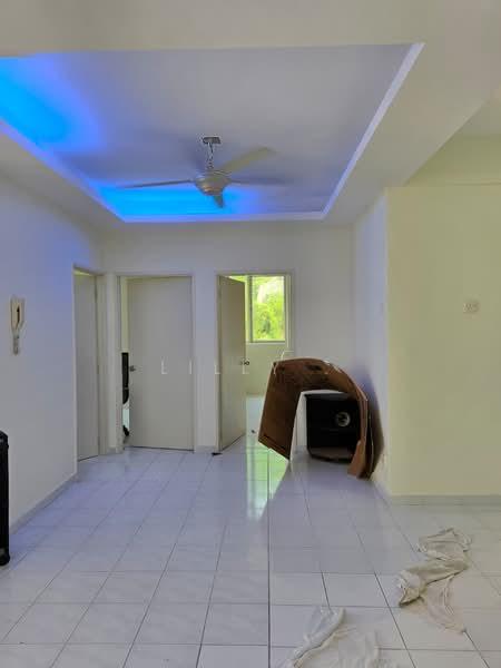 Kingfisher Series - 3