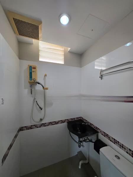 Kingfisher Series - 5