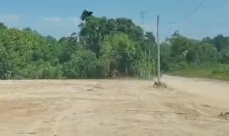 Tanjung Pelepas Tanjungs Pelepas - 3