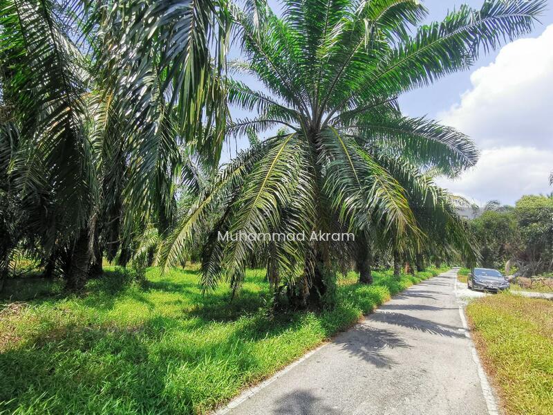 Tanah Lot Banglo Jeram Kuala Selangor Dekat Ke Pekan Jeram - 5