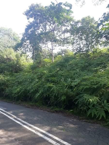 Kayangan Heights - 1