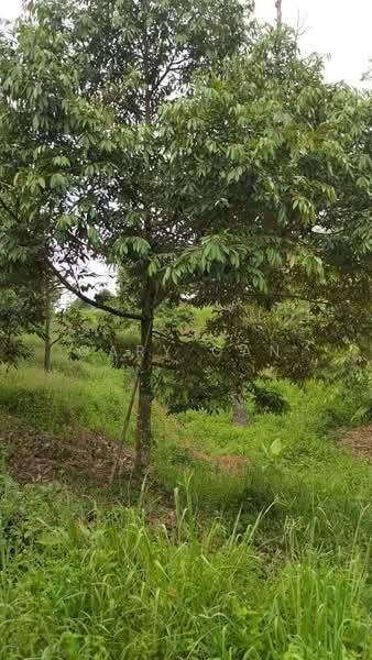 Kayangan Heights - 4