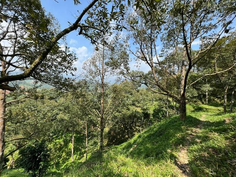 Bukit Tinggi Bentong Durian Land - 3