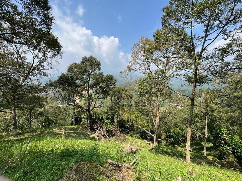 Bukit Tinggi Bentong Durian Land - 2