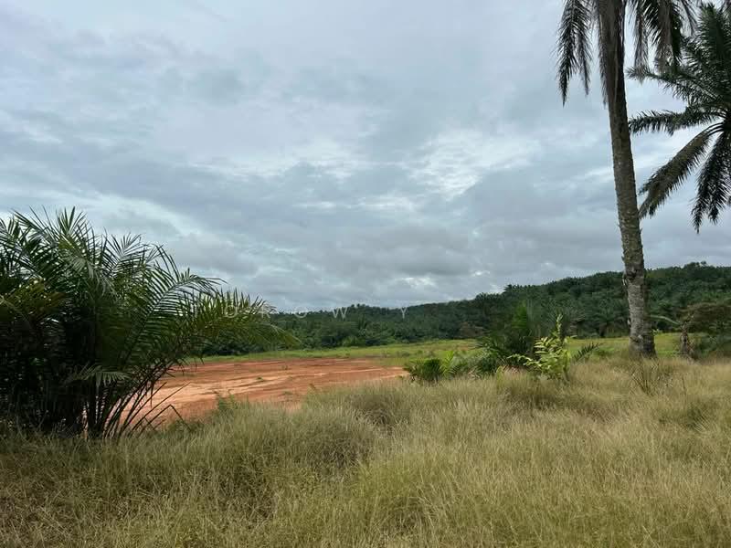 Kulai land for sale zoning industry - 2