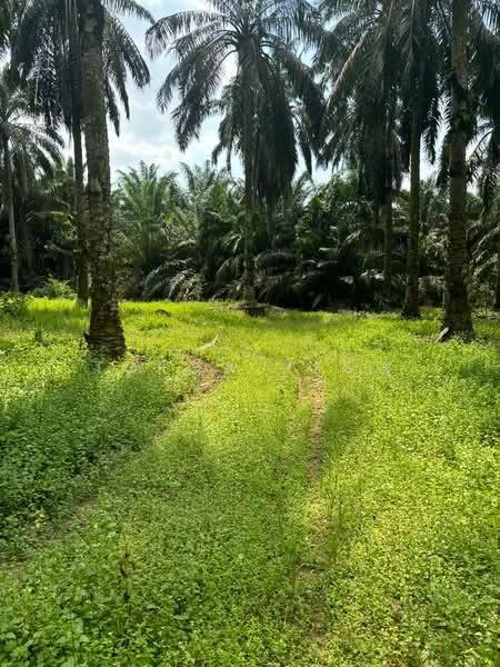 Kulai land for sale zoning industry - 5