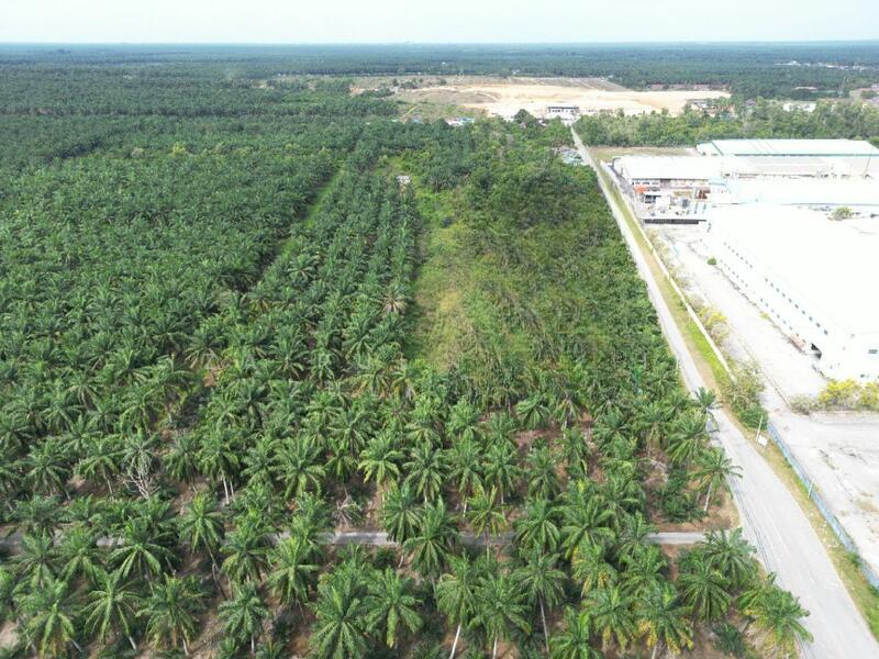 Kuala Selangor STRATEGIC Tanah Pertanian Bukit Badong Bistari Jaya Kuala Selangor - 4