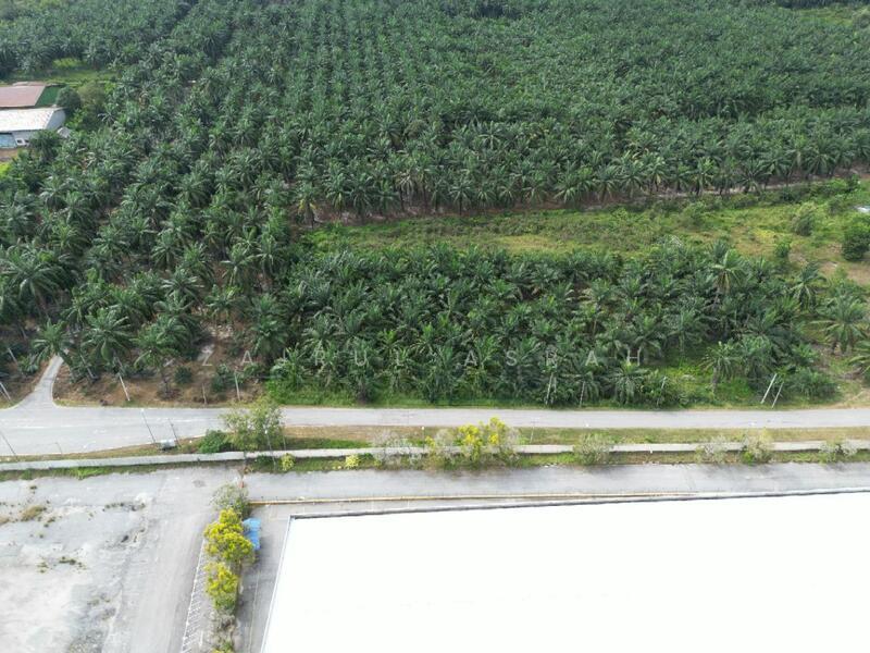 Kuala Selangor STRATEGIC Tanah Pertanian Bukit Badong Bistari Jaya Kuala Selangor - 2